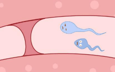 广州做试管胚胎着床率高有哪些方法？睿果医疗说出实情